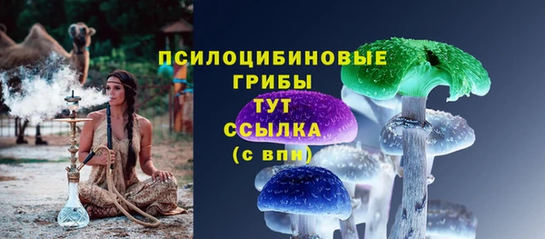 шишки Алексин