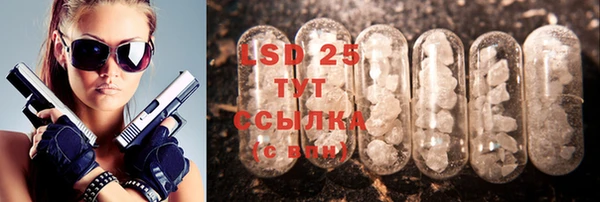 эйфоретик Алзамай
