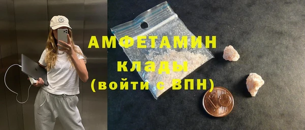 шишки Алексин